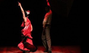 Leia mais sobre o artigo Flamenco